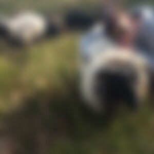 RachelAndRoss (56) aus Erpolzheim