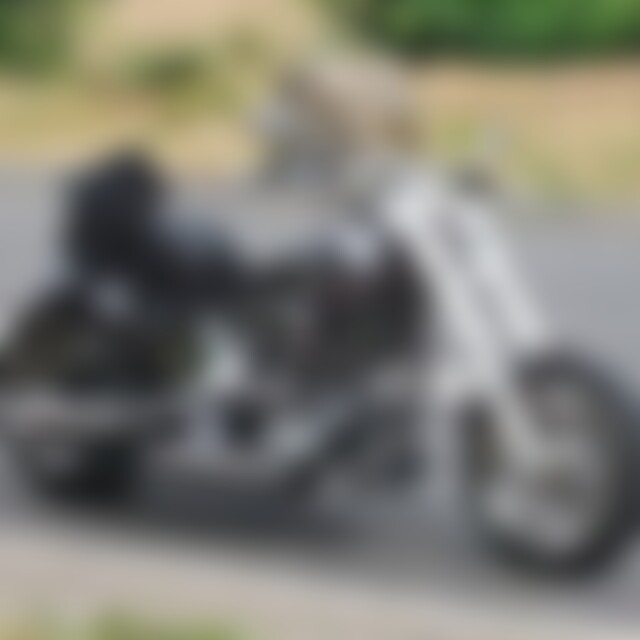 Softail (60) aus Oberhausen