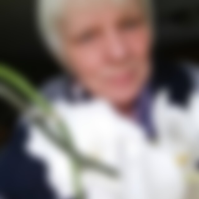 goldstar (67) aus 