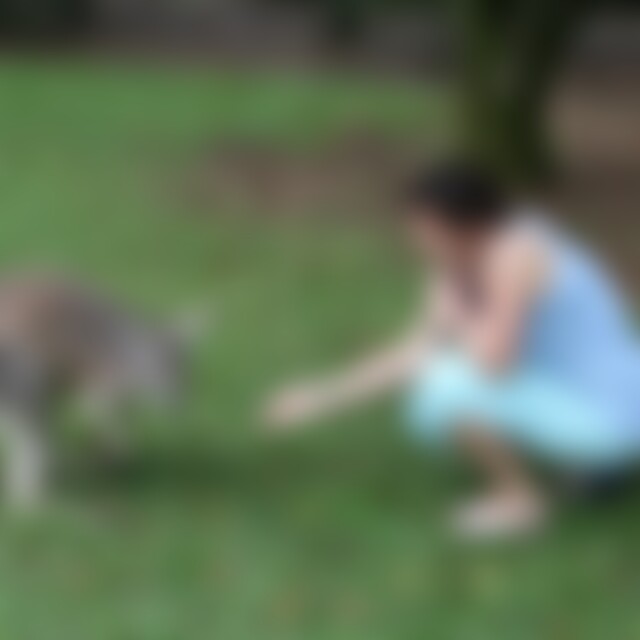 Traveler2016 (60) aus 