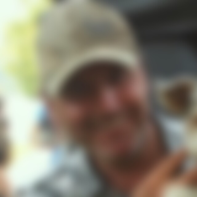 Sandstern (63) aus 