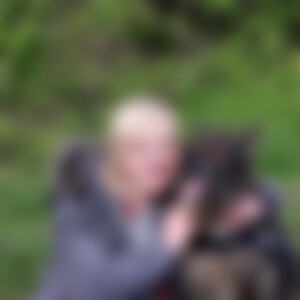 3344 (66) aus Pirna