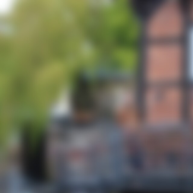 Zukunft2020 (64) aus Güstrow