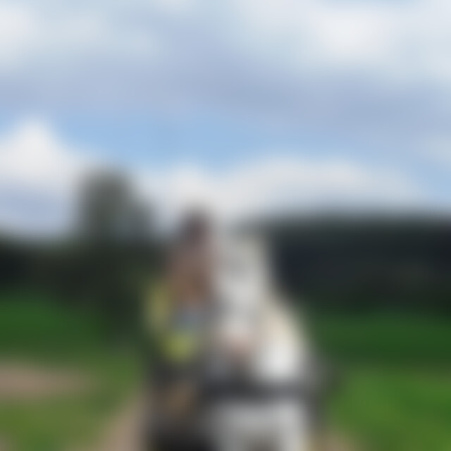 Horsemen (62) aus Selters