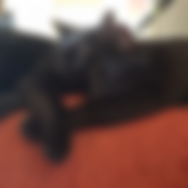 Arnoldd (60) aus Mühlheim