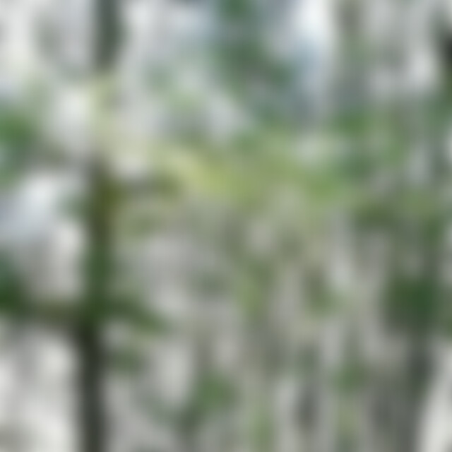 Trapper69 (55) aus Lage