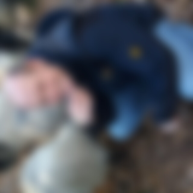 Romancier (62) aus Borken