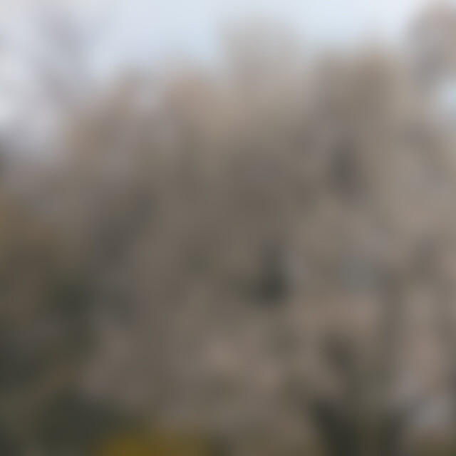 Kontakt (66) aus Karlsruhe