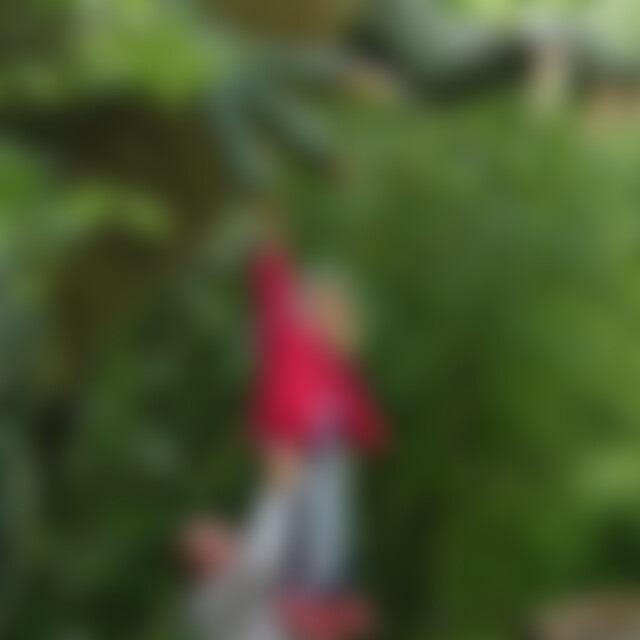 michelmm (55) aus Bad Grund