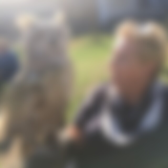 SherryLady (63) aus Gera