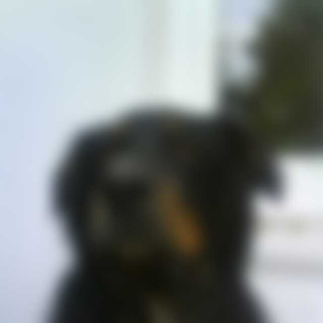buster1468 (56) aus München