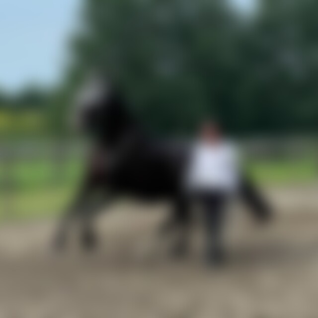 GustavKlimt (67) aus Lünen