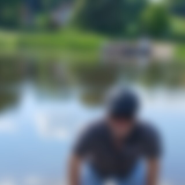 Waldochse (56) aus Kassel