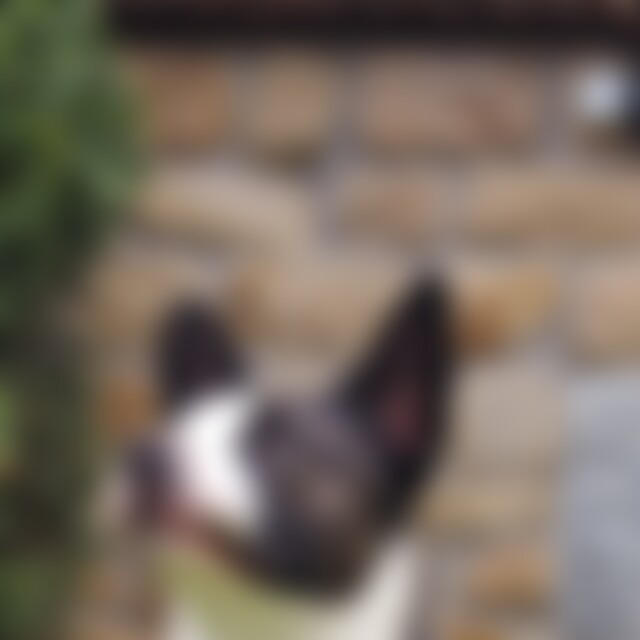 Dexi (59) aus Alsenz