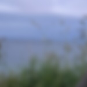 Wollhexe (58) aus X