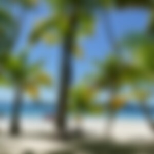 DynamoWolle (59) aus Mönchengladbach