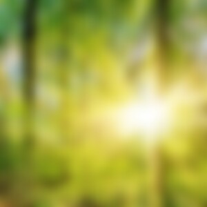 grossermann (62) aus Stutensee