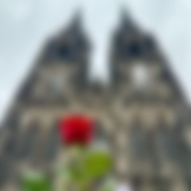 gismore (60) aus Königswinter