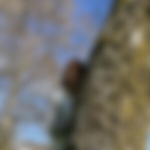 Lysanna (67) aus Bestwig